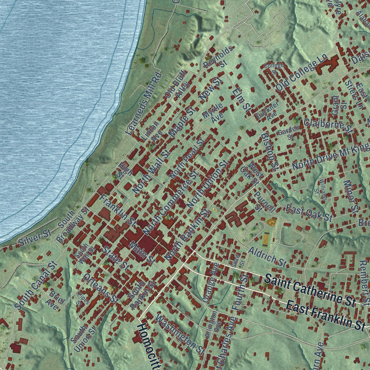 Close-up of the map of Natchez, Mississippi print showing street and building detail