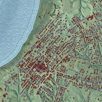 Close-up of the map of Natchez, Mississippi print showing street and building detail