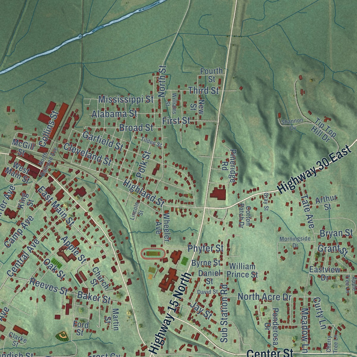 Close-up of the map of New Albany, Mississippi print showing street and building detail