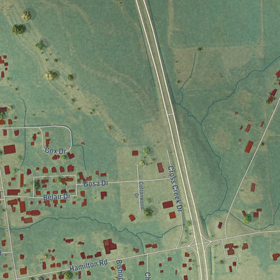 Close-up of the map of New Hamilton, Mississippi print showing street and building detail