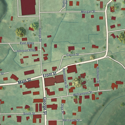 Close-up of the map of North Carrollton, Mississippi print showing street and building detail