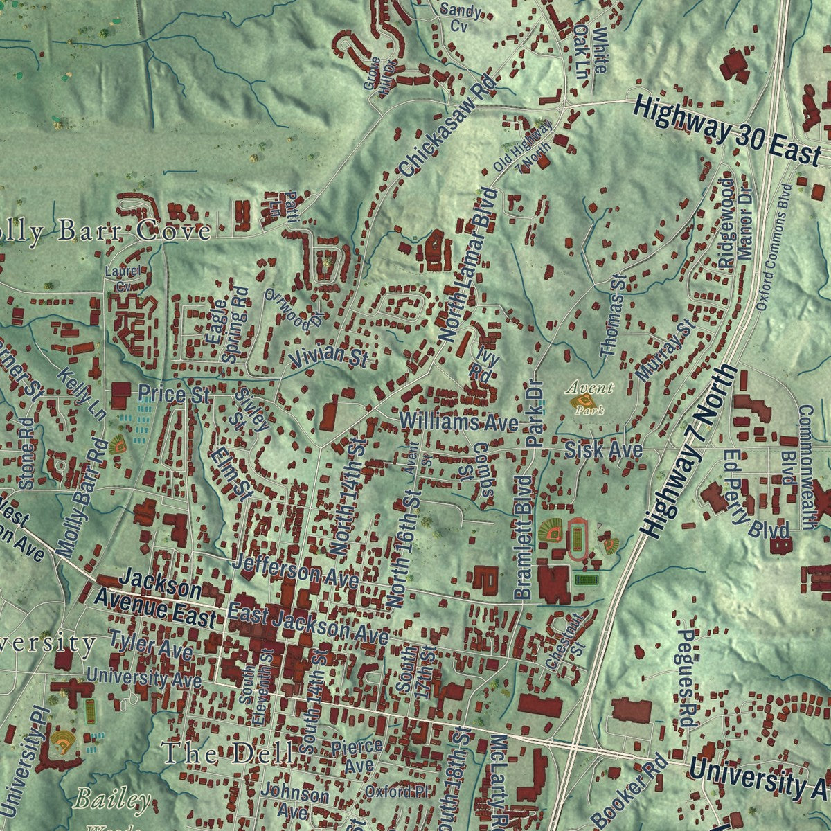 Close-up of the map of Oxford, Mississippi print showing street and building detail