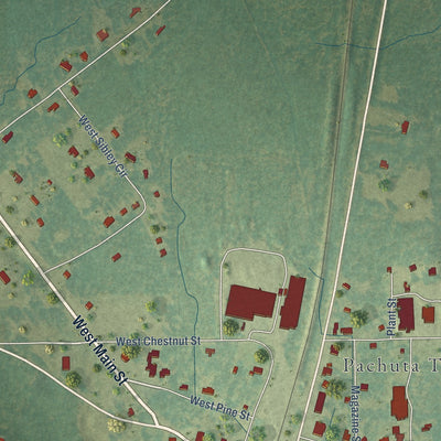 Close-up of the map of Pachuta, Mississippi print showing street and building detail