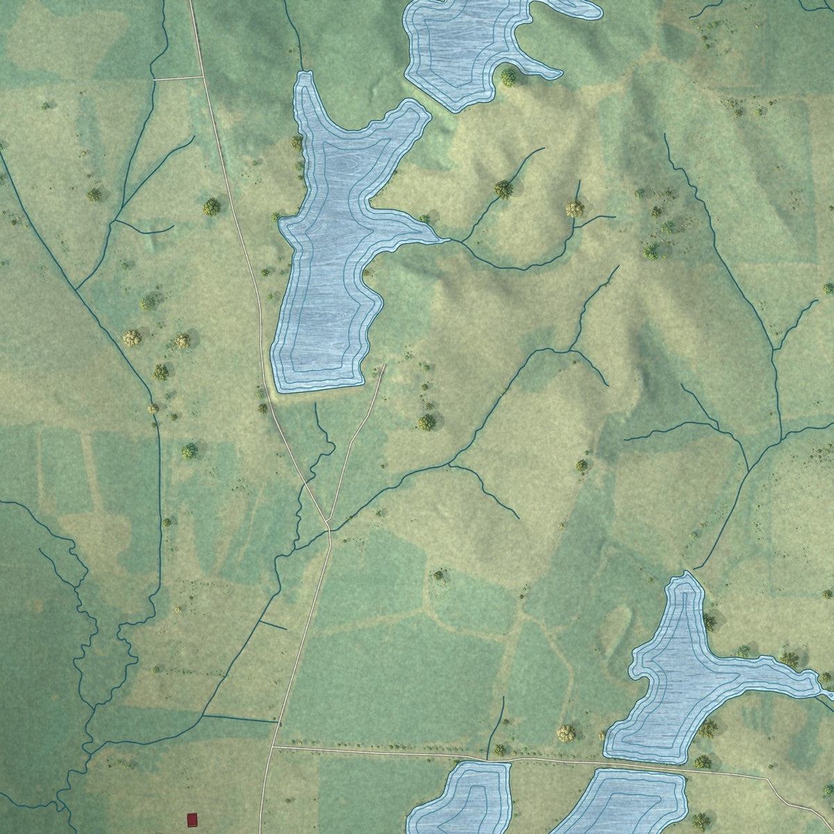 Second close-up of the map of Pelahatchie, Mississippi print showing more streets and buildings