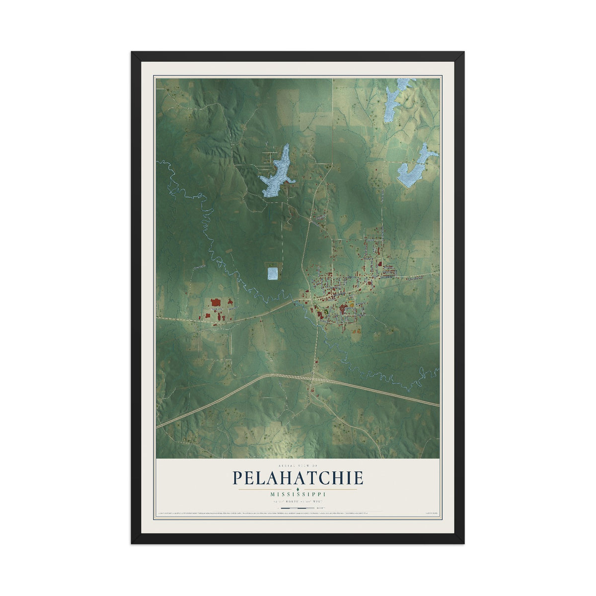 Map of Pelahatchie, Mississippi, 12 x 18 inch print in a black wood frame