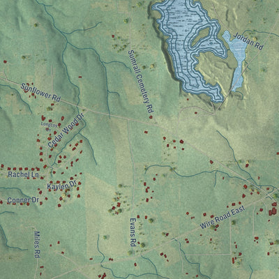 Close-up of the map of Perkinston, Mississippi print showing street and building detail