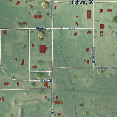Close-up of the map of Pheba, Mississippi print showing street and building detail