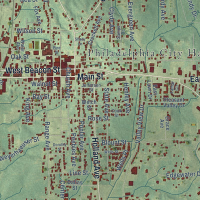 Close-up of the map of Philadelphia, Mississippi print showing street and building detail