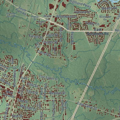 Close-up of the map of Picayune, Mississippi print showing street and building detail