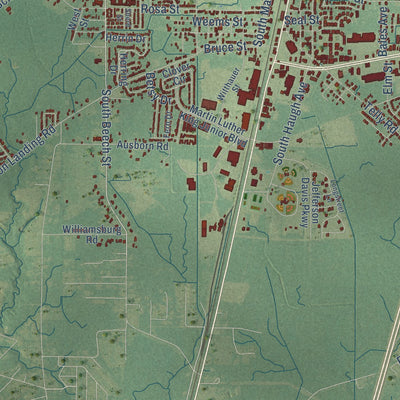 Second close-up of the map of Picayune, Mississippi print showing more streets and buildings