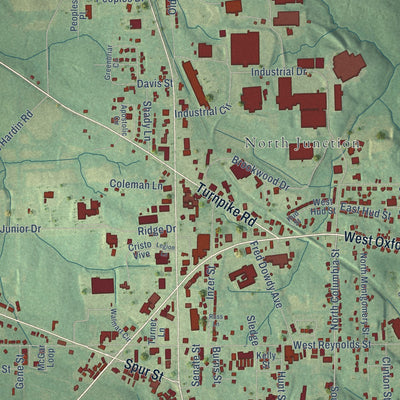 Close-up of the map of Pontotoc, Mississippi print showing street and building detail
