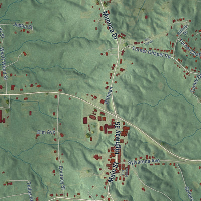 Close-up of the map of Raleigh, Mississippi print showing street and building detail
