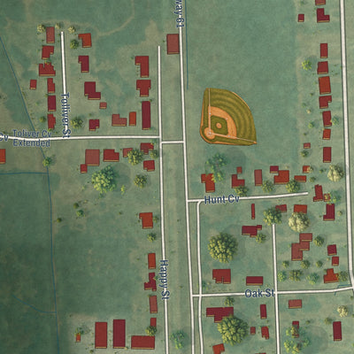 Second close-up of the map of Renova, Mississippi print showing more streets and buildings