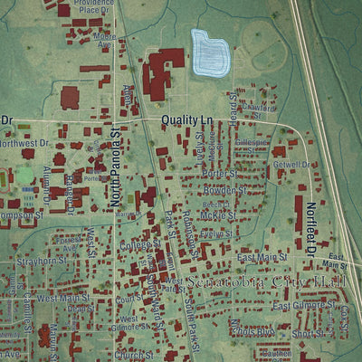 Close-up of the map of Senatobia, Mississippi print showing street and building detail