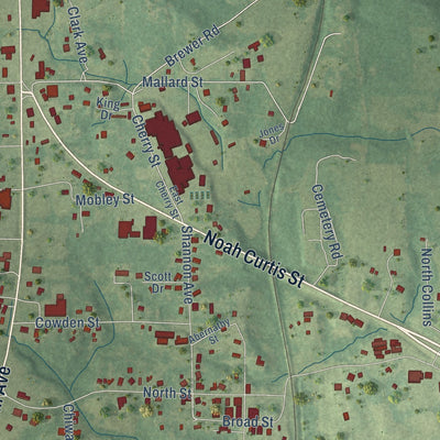 Close-up of the map of Shannon, Mississippi print showing street and building detail