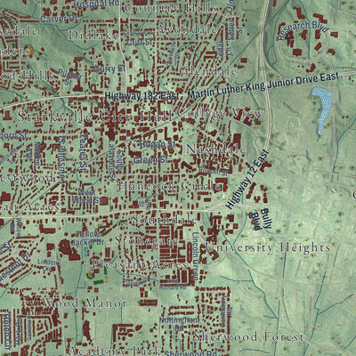 Close-up of the map of Starkville, Mississippi print showing street and building detail