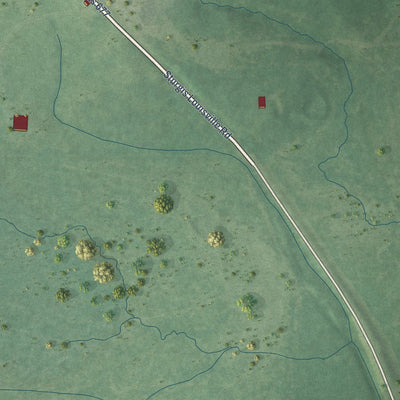 Second close-up of the map of Sturgis, Mississippi print showing more streets and buildings