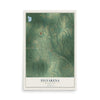 Map of Sylvarena, Mississippi, 12 x 18 inch unframed archival matte print