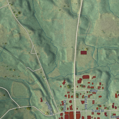 Second close-up of the map of Tishomingo, Mississippi print showing more streets and buildings