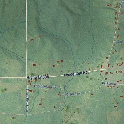 Close-up of the map of Toccopola, Mississippi print showing street and building detail