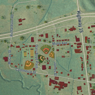 Close-up of the map of Walnut, Mississippi print showing street and building detail