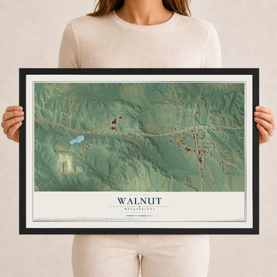 Map of Walnut, Mississippi, 12 x 18 inch print in a black wood frame
