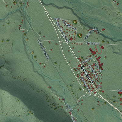 Close-up of the map of Arlee, Montana print showing street and building detail