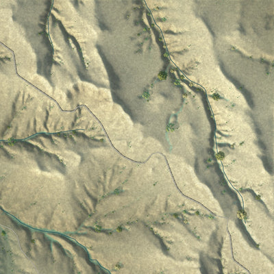Close-up of the map of Biddle, Montana print showing street and building detail