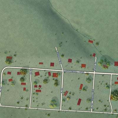 Close-up of the map of Camas, Montana print showing street and building detail
