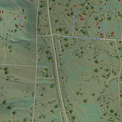 Close-up of the map of Carlton, Montana print showing street and building detail