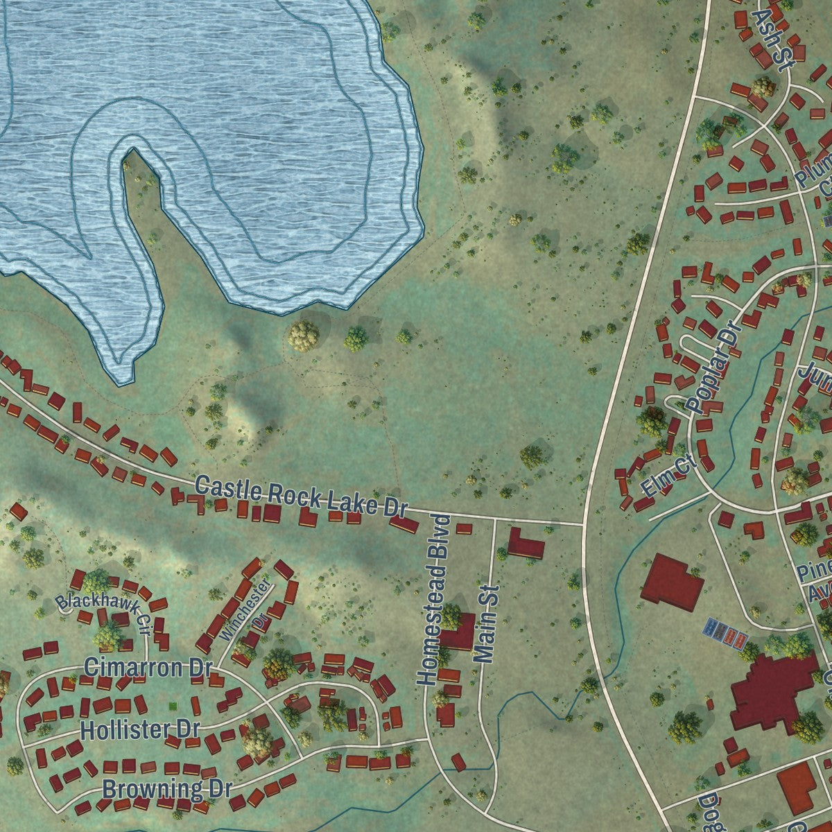 Close-up of the map of Colstrip, Montana print showing street and building detail