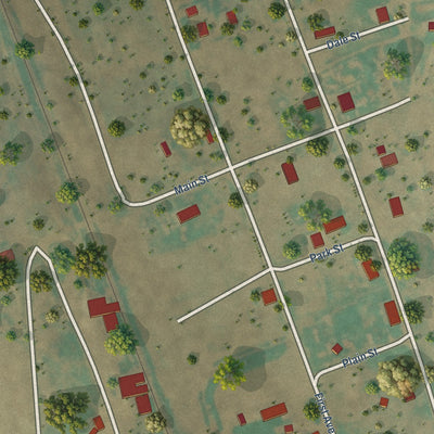 Close-up of the map of Homestead, Montana print showing street and building detail