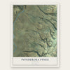 Ponderosa Pines, Montana map print, the full design