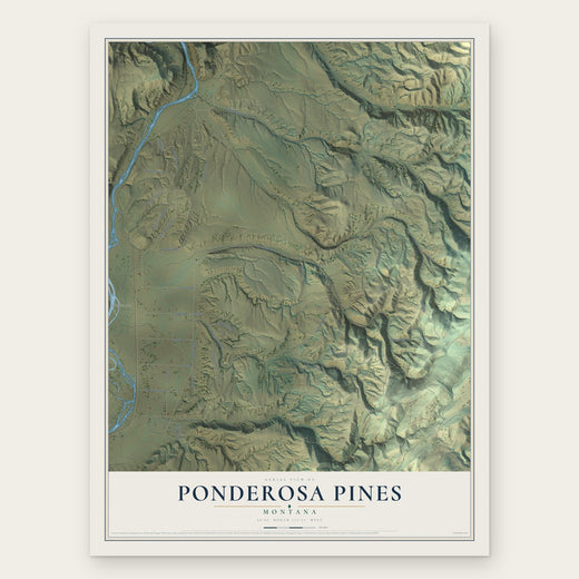 Ponderosa Pines, Montana map print, the full design