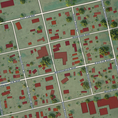 Close-up of the map of Richey, Montana print showing street and building detail