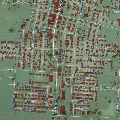 Close-up of the map of Stevensville, Montana print showing street and building detail
