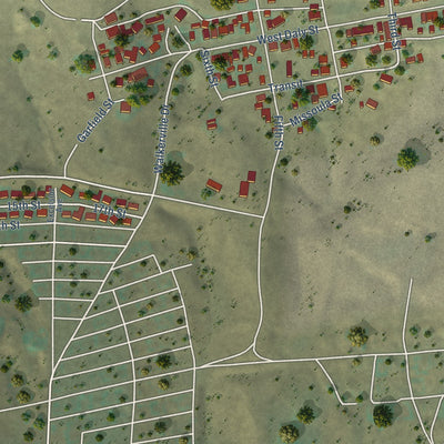 Close-up of the map of Walkerville, Montana print showing street and building detail