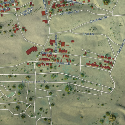 Second close-up of the map of Walkerville, Montana print showing more streets and buildings