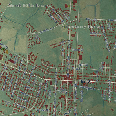 Close-up of the map of Ayden, North Carolina print showing street and building detail
