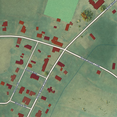 Close-up of the map of Bear Grass, North Carolina print showing street and building detail