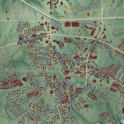 Close-up of the map of Belmont, North Carolina print showing street and building detail