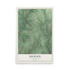 Map of Belwood, North Carolina, 12 x 18 inch unframed archival matte print