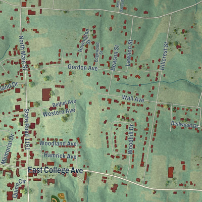 Close-up of the map of Boiling Springs, North Carolina print showing street and building detail