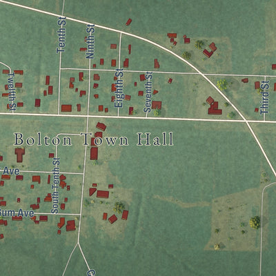 Close-up of the map of Bolton, North Carolina print showing street and building detail