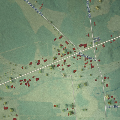 Close-up of the map of Bonnetsville, North Carolina print showing street and building detail