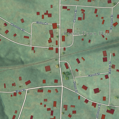 Close-up of the map of Bostic, North Carolina print showing street and building detail