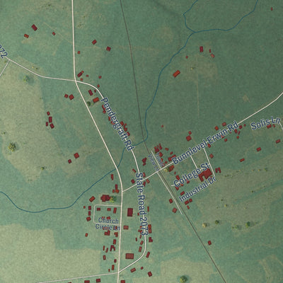 Close-up of the map of Bunnlevel, North Carolina print showing street and building detail