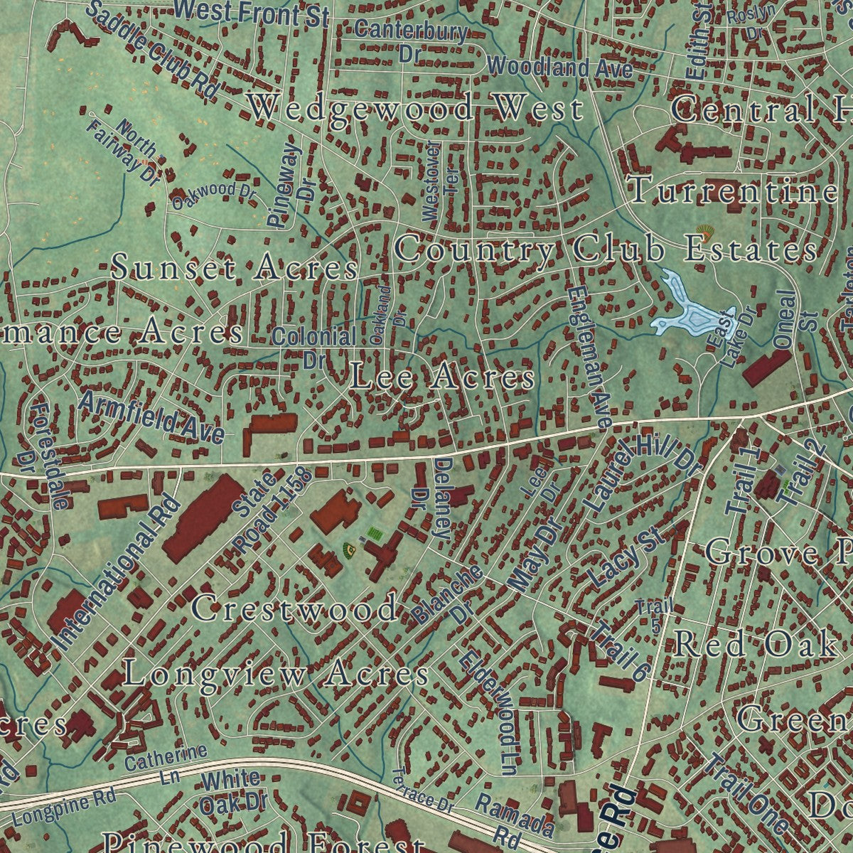 Close-up of the map of Burlington, North Carolina print showing street and building detail