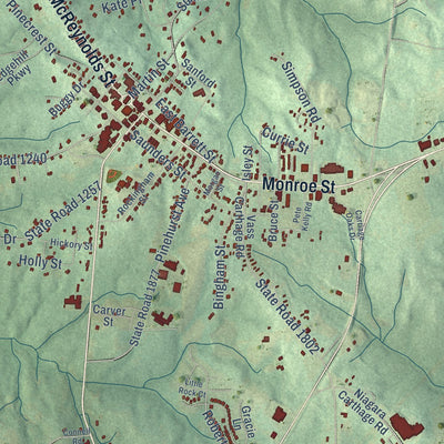 Close-up of the map of Carthage, North Carolina print showing street and building detail
