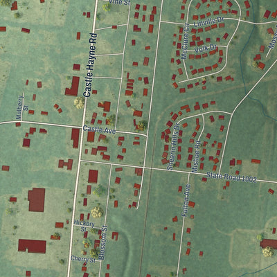 Close-up of the map of Castle Hayne, North Carolina print showing street and building detail